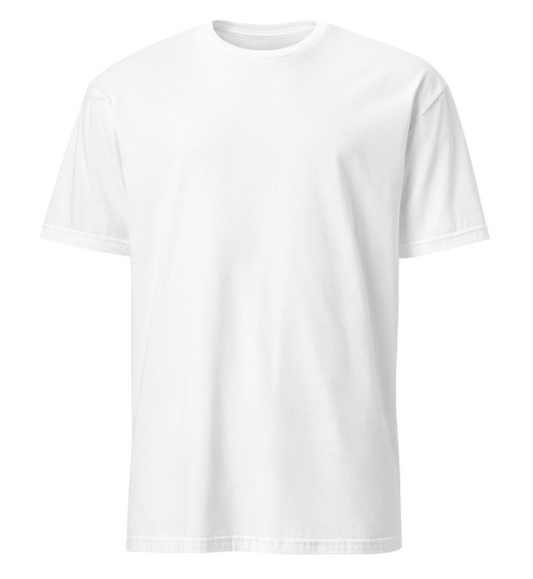 Basic Softstyle T-Shirt | Gildan 64000 (Budget)